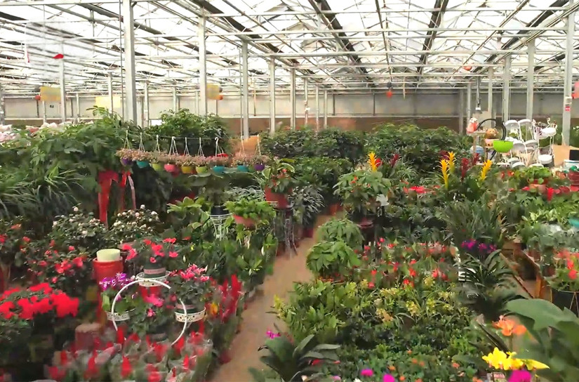 3花卉市場_副本.jpg
